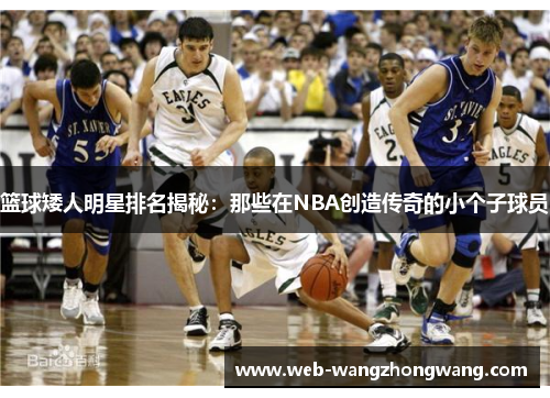 篮球矮人明星排名揭秘：那些在NBA创造传奇的小个子球员